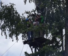 DSCF8273